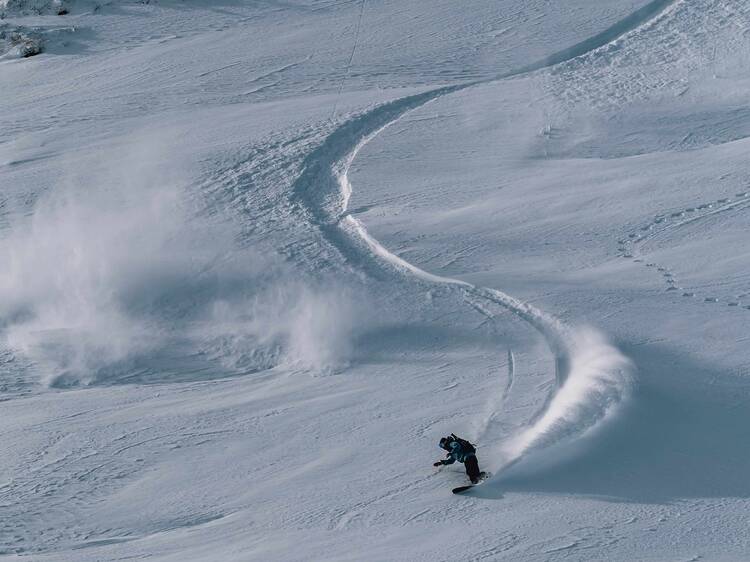 Niseko Powder Experience