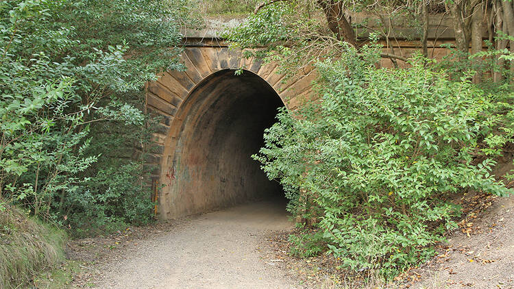 Mushroom Tunnel, NSW