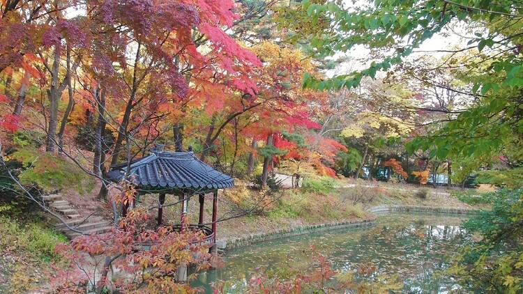 1. Gyeongbokgung, Changdeokgung, and Deoksugung