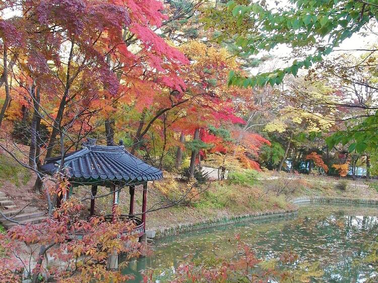 1. Gyeongbokgung, Changdeokgung, and Deoksugung