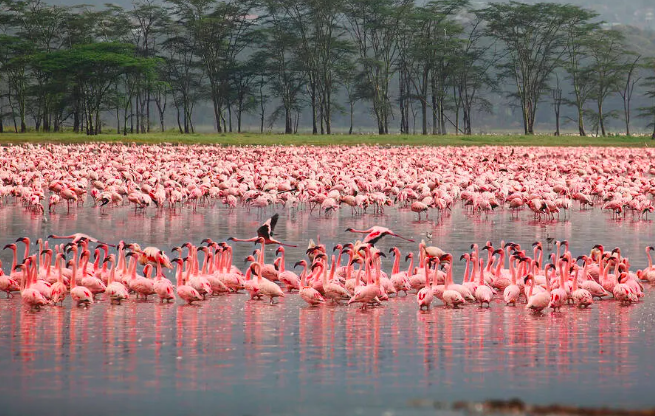 Estos son los 15 lugares más bonitos del mundo que son patrimonio de la humanidad  Image