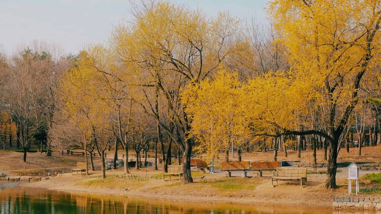 2. Seoul Forest Park