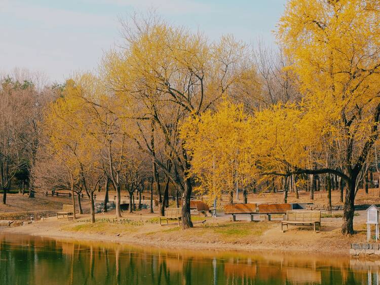 2. Seoul Forest Park