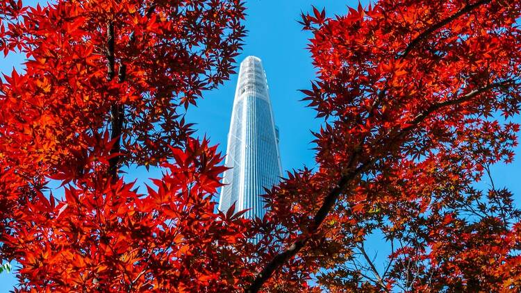 4. Seokchon Lake