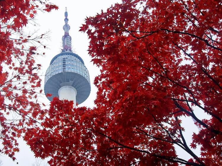 5. Namsan Park and N Seoul Tower