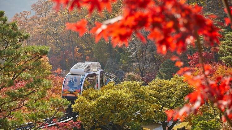 6. Hwadam Botanic Garden