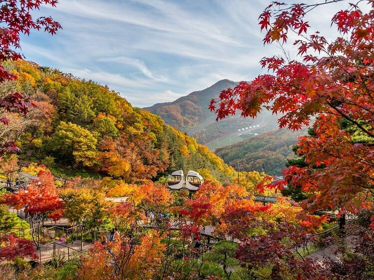 6 most stunning places to see fall foliage in Seoul 2024