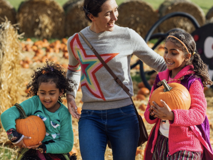 Hobbledown Heath Pumpkin Patch