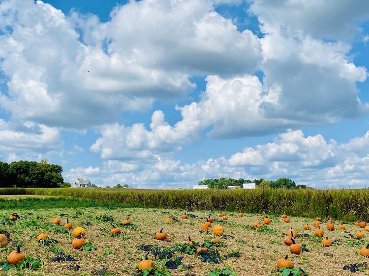 Larriland Farm