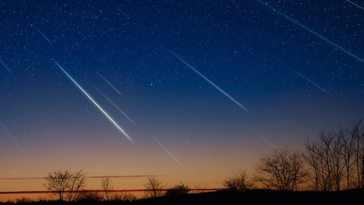 Meteor show in the night sky above a field