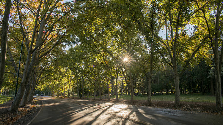 Parque San Martín