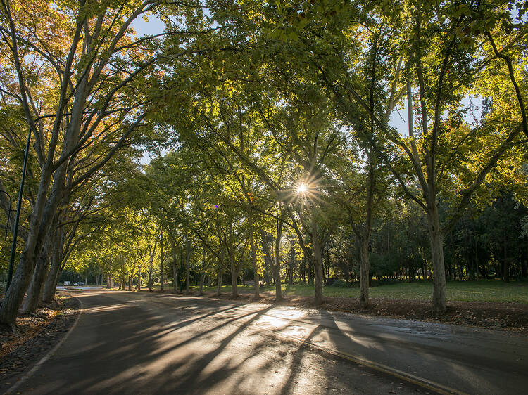 Parque San Martín