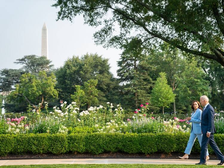 Here's how to score tickets for the fall White House garden tours this weekend