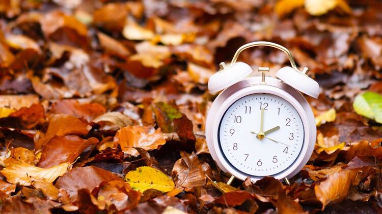 Daylight Saving Time - Fall