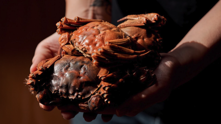 8. 'Shell-ebrate' autumn with a luxurious crab tasting experience