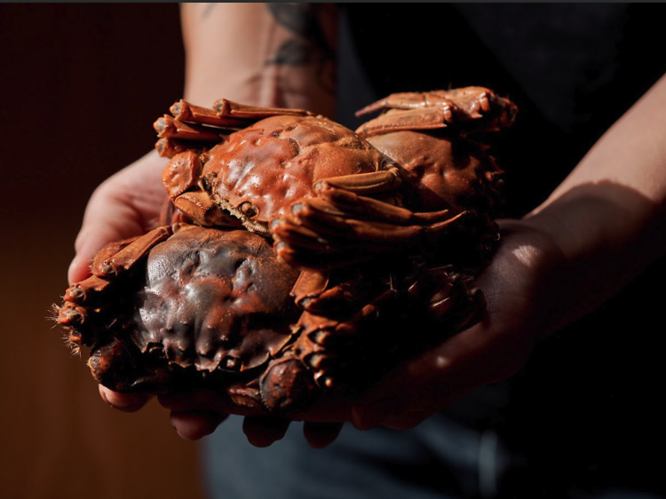 8. 'Shell-ebrate' autumn with a luxurious crab tasting experience