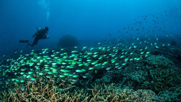 Lombok