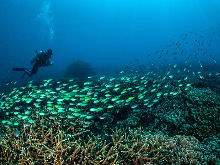 Lombok