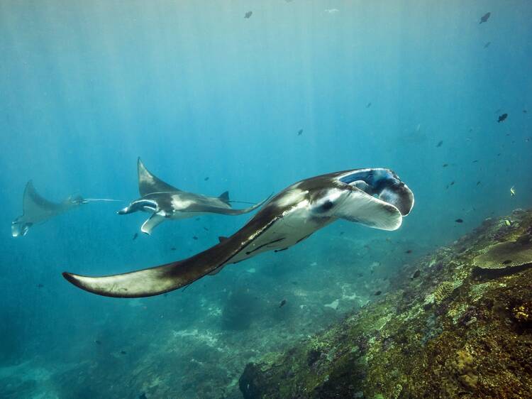 Nusa Penida