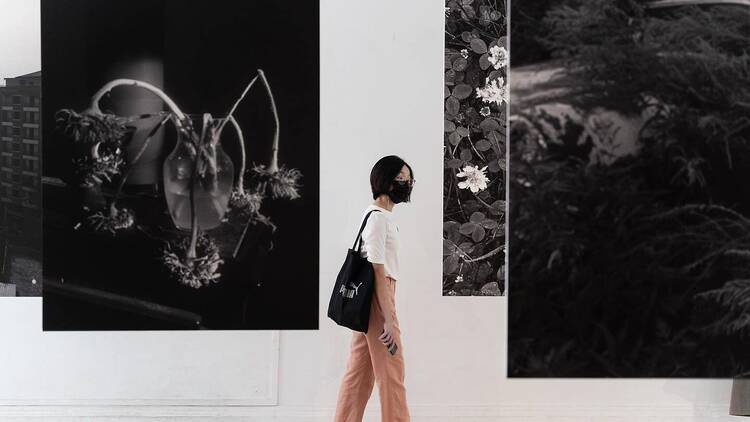 Singapore International Photography Festival (SIPF)