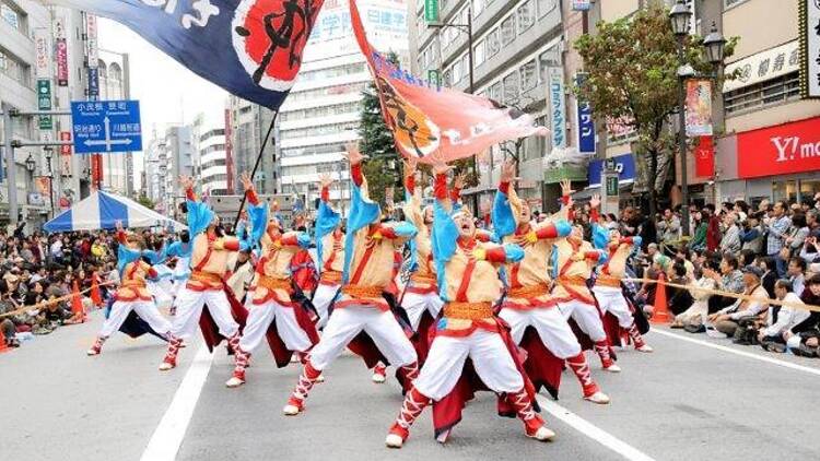 東京よさこい