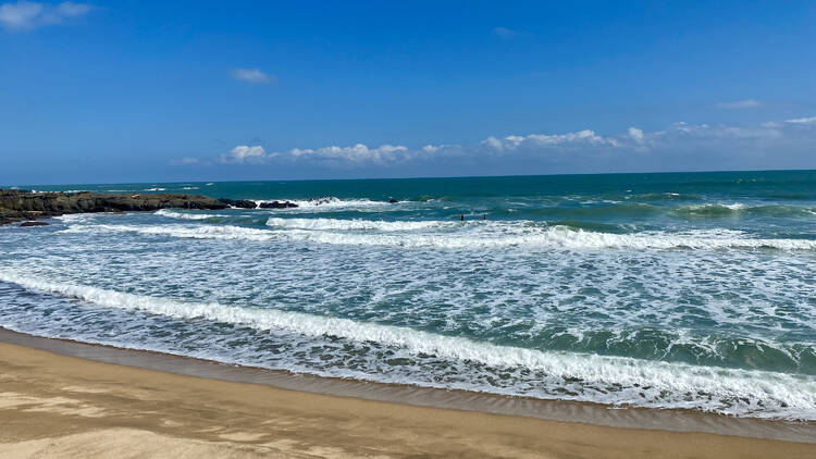 Surf the great waves in tropical Miyazaki