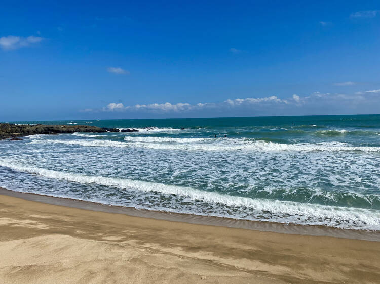 Surf the great waves in tropical Miyazaki