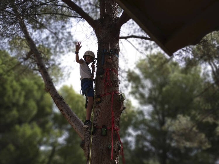 Abrir los sentidos con actividades y talleres