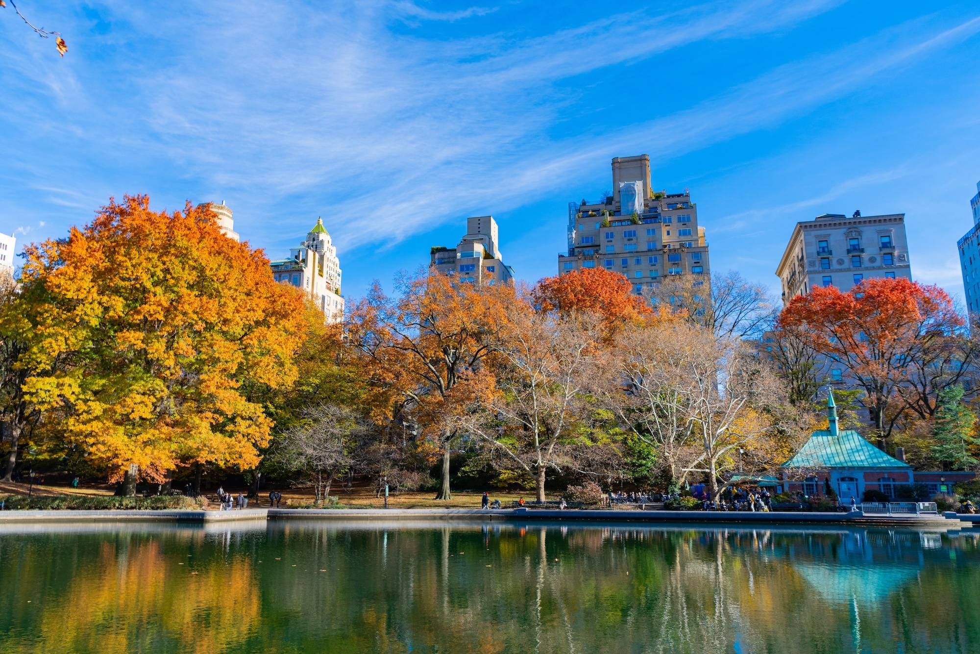 Believe it or not, NYC just released a list of best trees in the city