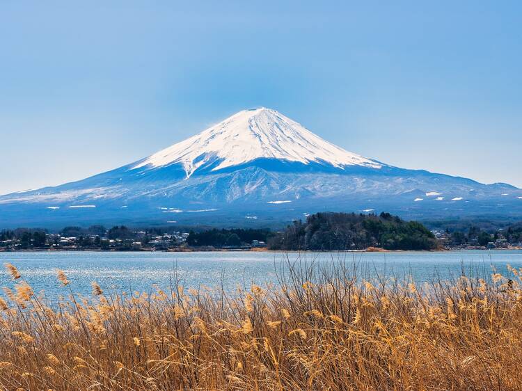 Mt. Fuji, Japan