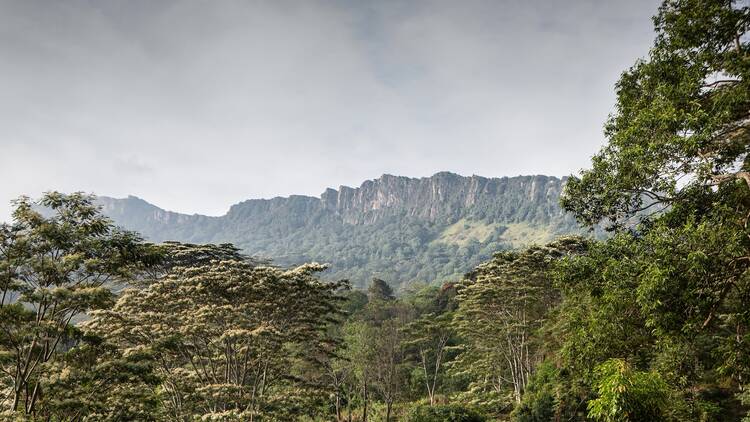 The Pekoe Trail, Sri Lanka