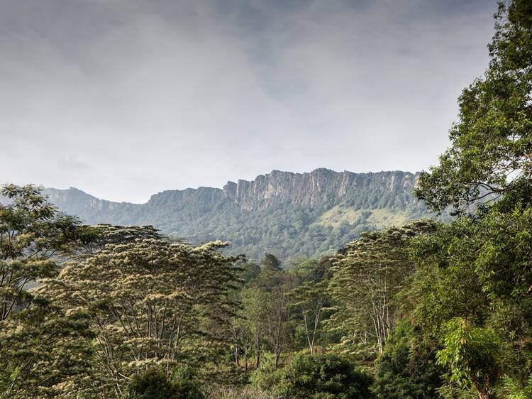 The Pekoe Trail, Sri Lanka