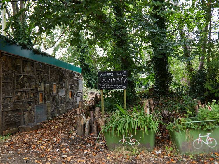 Railway Fields Nature Reserve