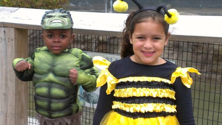 Children in costumes for Franklin Park Stone Zoo Halloween