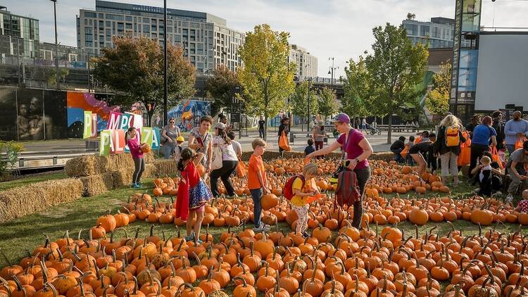 NoMa PumpkinPalooza