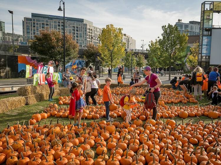 Pick out pumpkins for your jack-o-lanterns at the annual PumpkinPalooza. 