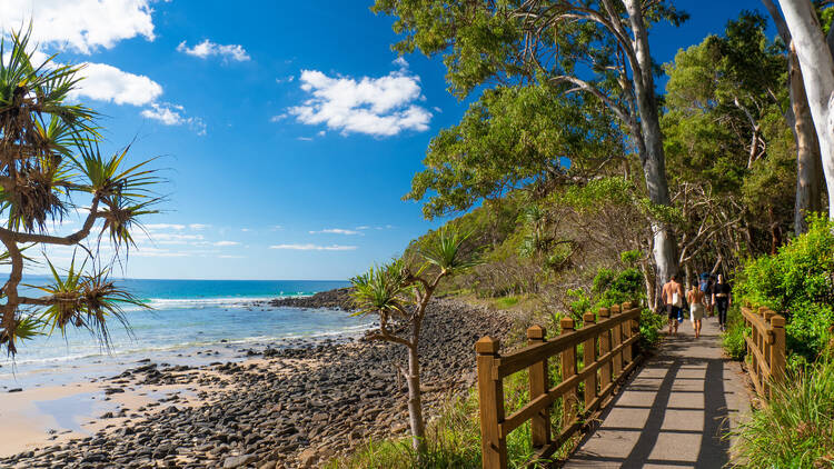 Hike in Noosa National Park