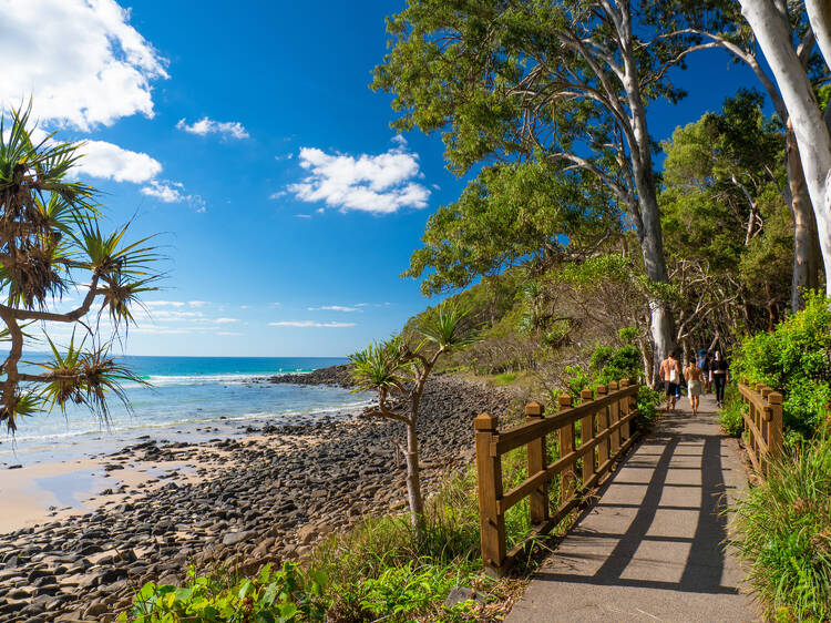 Hike in Noosa National Park