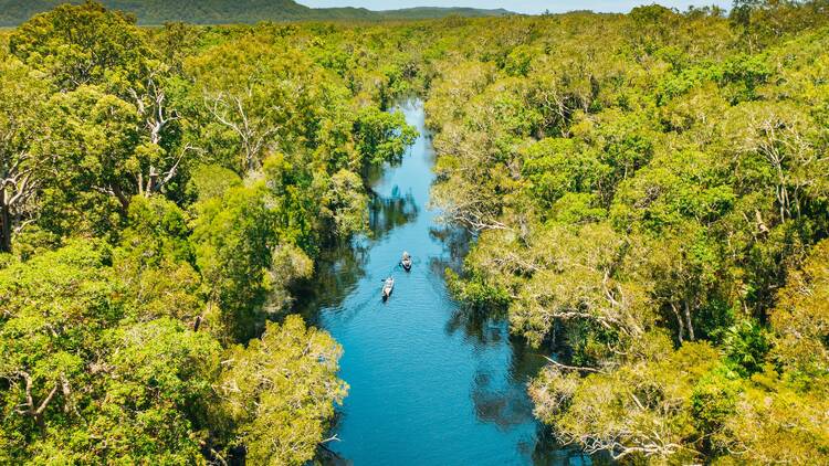 Cruise down the Noosa Everglades