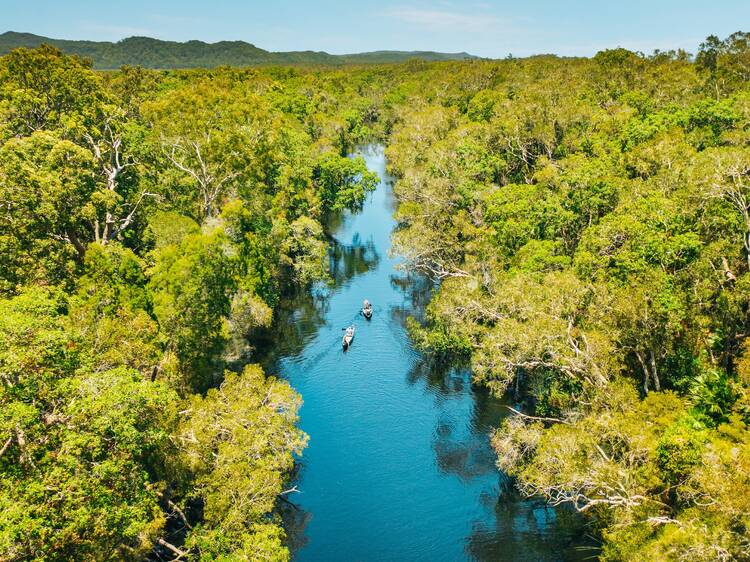 Cruise down the Noosa Everglades