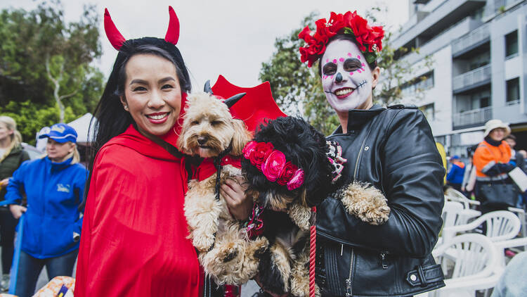 Two humans in Halloween costumes holding their dogs who are also dressed up.