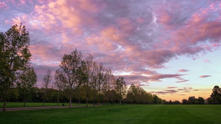 Finsbury Park at sunset