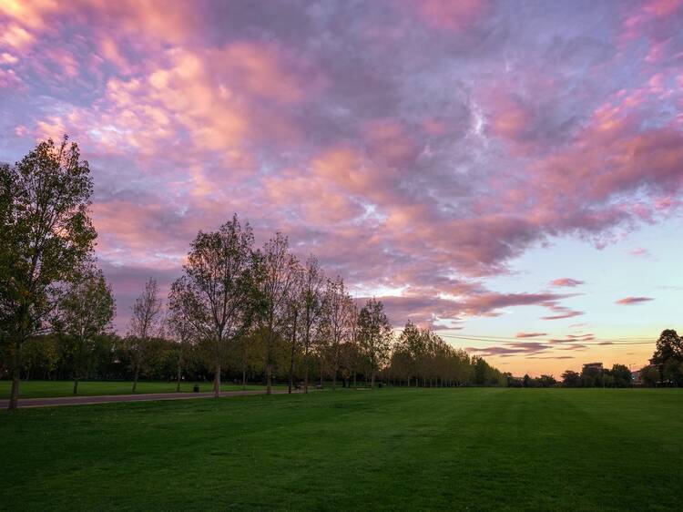 Take Finsbury Park at your own pace