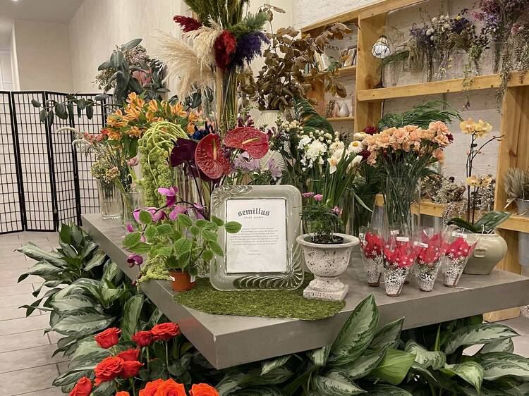 Nurture the soul with new plants at Semillas