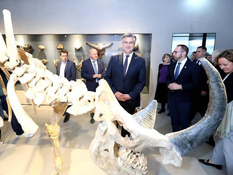 Revamped Natural History Museum free to see this weekend