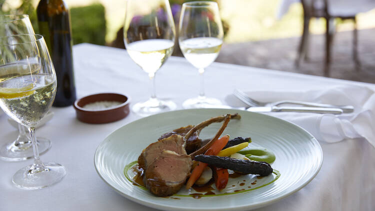 Plate of meat on bone with vegetables