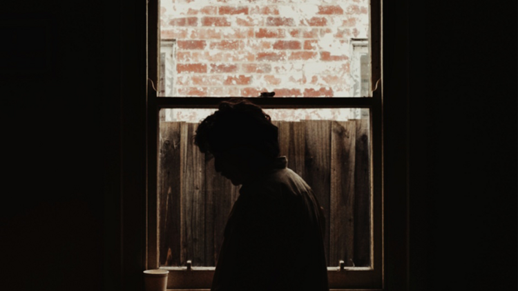 Ollie stands in front of a window showing a wooden fence and a red brick wall.