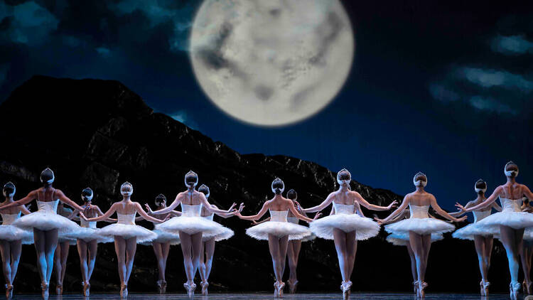 El lago de los cisnes. San Francisco Ballet