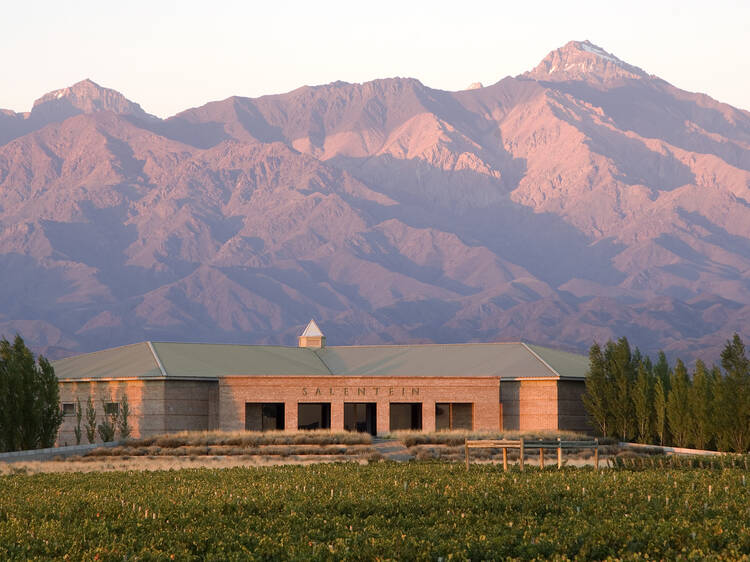 Uco Valley