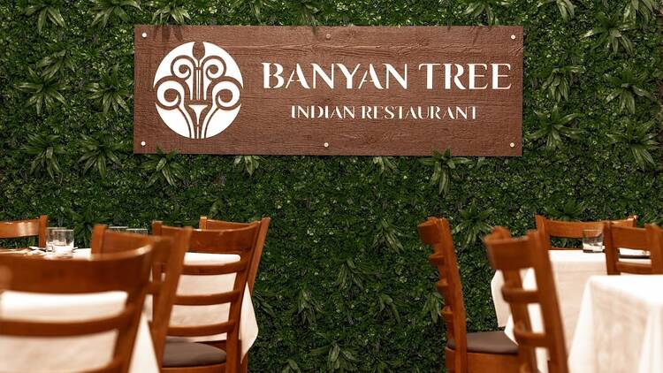 Banyan Tree